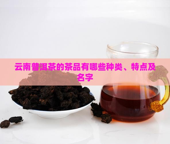 云南普洱茶的茶品有哪些种类、特点及名字