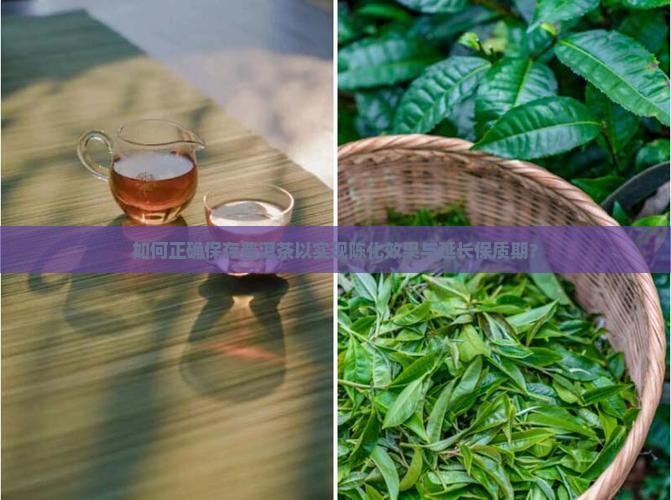 如何正确保存普洱茶以实现陈化效果与延长保质期？