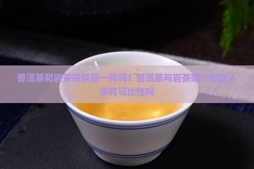 普洱茶和岩茶投茶量一样吗？普洱茶与岩茶哪个喝的人多有可比性吗