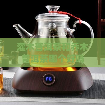 灌木普洱茶和乔木普洱茶哪个好吗