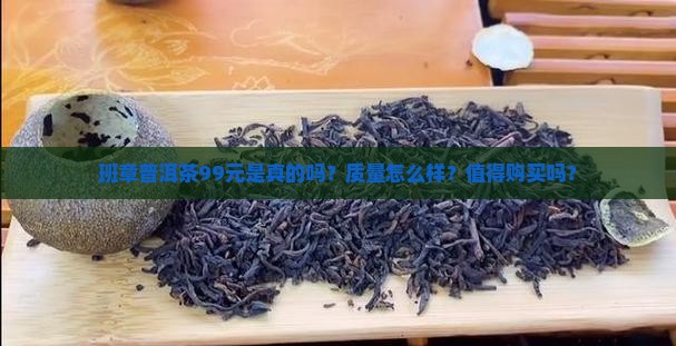 班章普洱茶99元是真的吗？质量怎么样？值得购买吗？