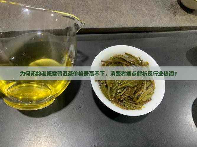 为何邦韵老班章普洱茶价格居高不下，消费者痛点解析及行业热词？