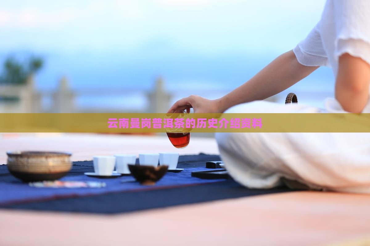 云南曼岗普洱茶的历史介绍资料