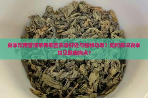 夏季饮用普洱茶有哪些养身好处与独特功效？如何解决夏季常见健康痛点？