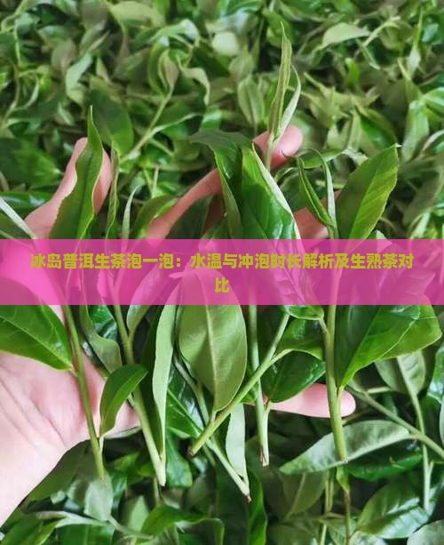 冰岛普洱生茶泡一泡：水温与冲泡时长解析及生熟茶对比