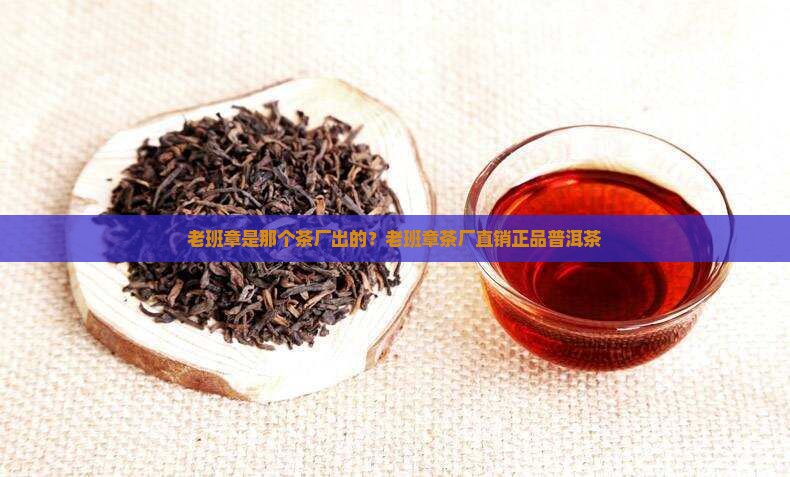 老班章是那个茶厂出的？老班章茶厂直销正品普洱茶