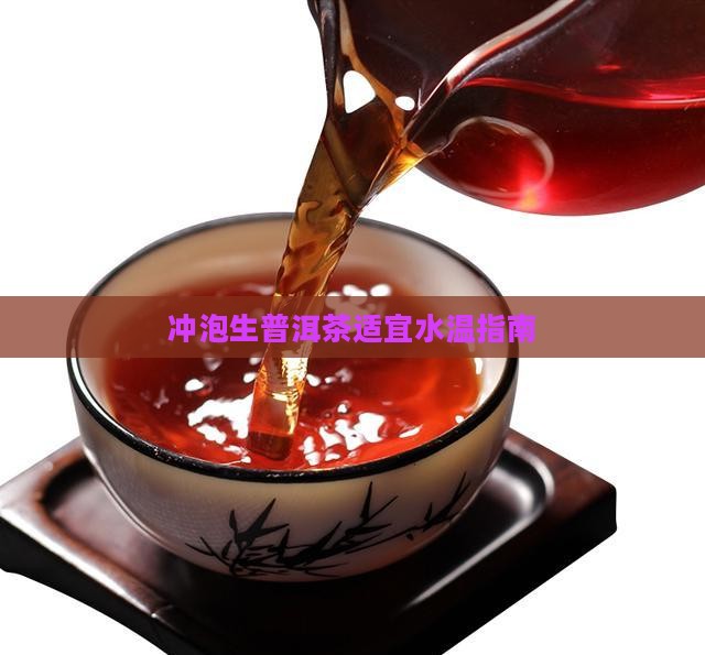 冲泡生普洱茶适宜水温指南