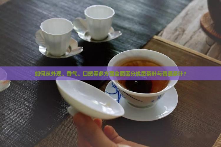 如何从外观、香气、口感等多方面全面区分优质茶叶与普通茶叶？