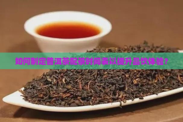 如何制定普洱茶配茶时间表以提升品饮体验？