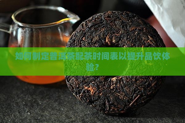 如何制定普洱茶配茶时间表以提升品饮体验？