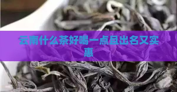 云南什么茶好喝一点且出名又实惠