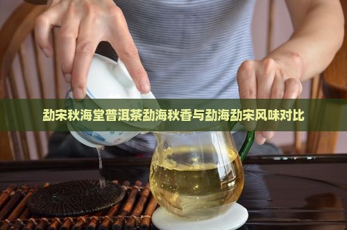 勐宋秋海堂普洱茶勐海秋香与勐海勐宋风味对比