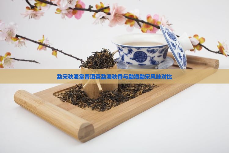 勐宋秋海堂普洱茶勐海秋香与勐海勐宋风味对比