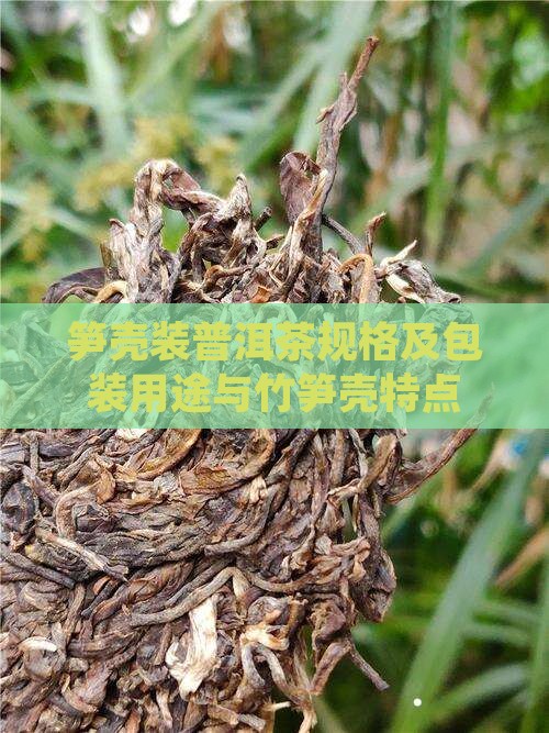 笋壳装普洱茶规格及包装用途与竹笋壳特点