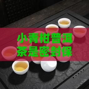 小青柑普洱茶是密封保存还是冷藏保存的方法