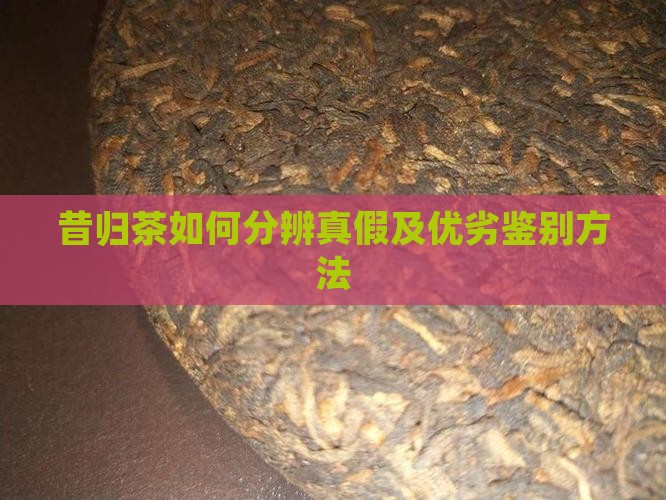 昔归茶如何分辨真假及优劣鉴别方法