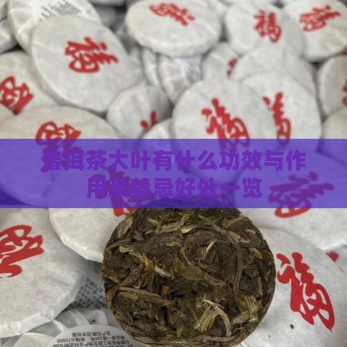普洱茶大叶有什么功效与作用及禁忌好处一览