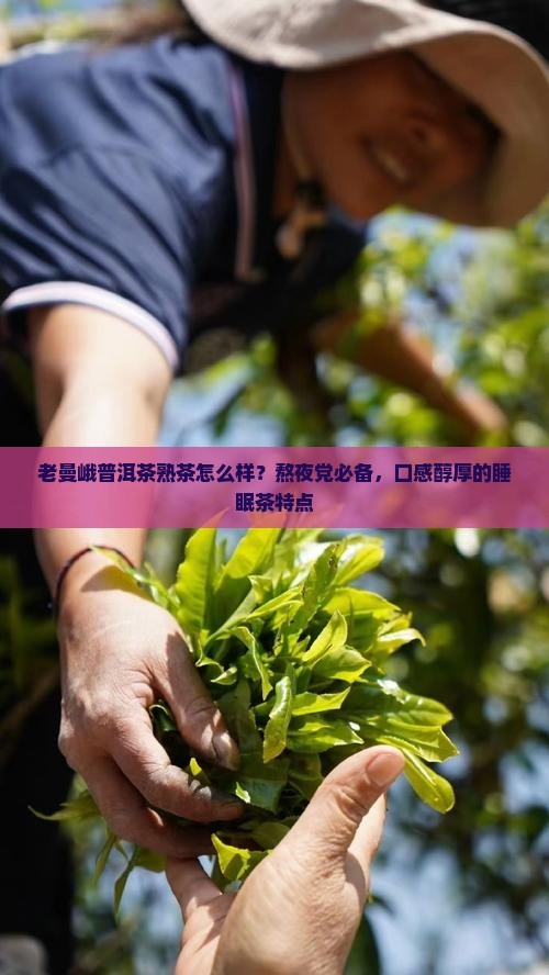 老曼峨普洱茶熟茶怎么样？熬夜党必备，口感醇厚的睡眠茶特点