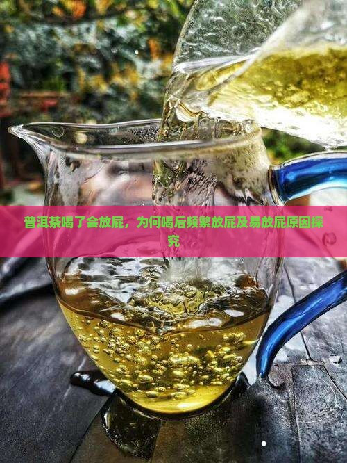 普洱茶喝了会放屁，为何喝后频繁放屁及易放屁原因探究