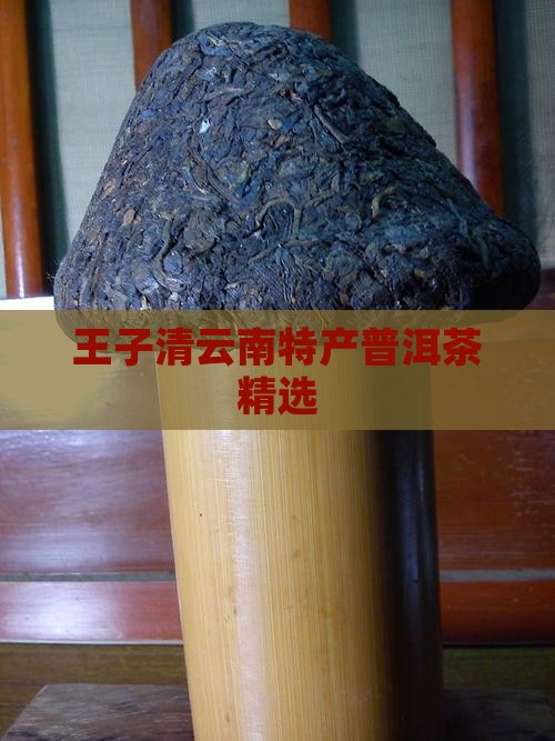 王子清云南特产普洱茶精选