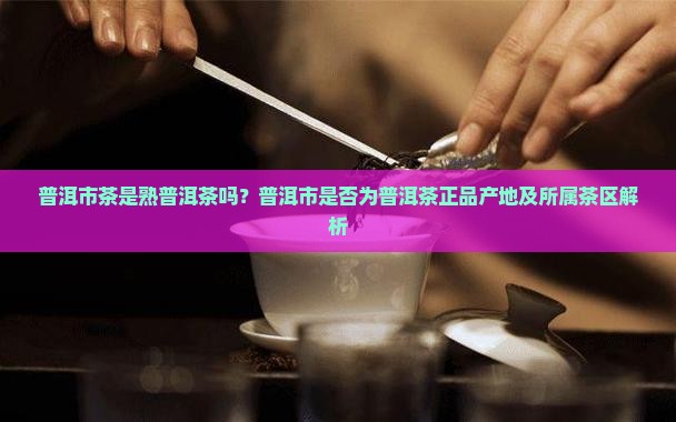普洱市茶是熟普洱茶吗？普洱市是否为普洱茶正品产地及所属茶区解析