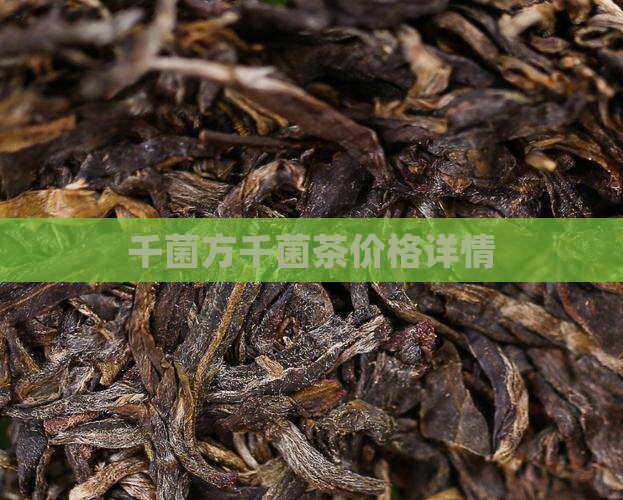 千菌方千菌茶价格详情