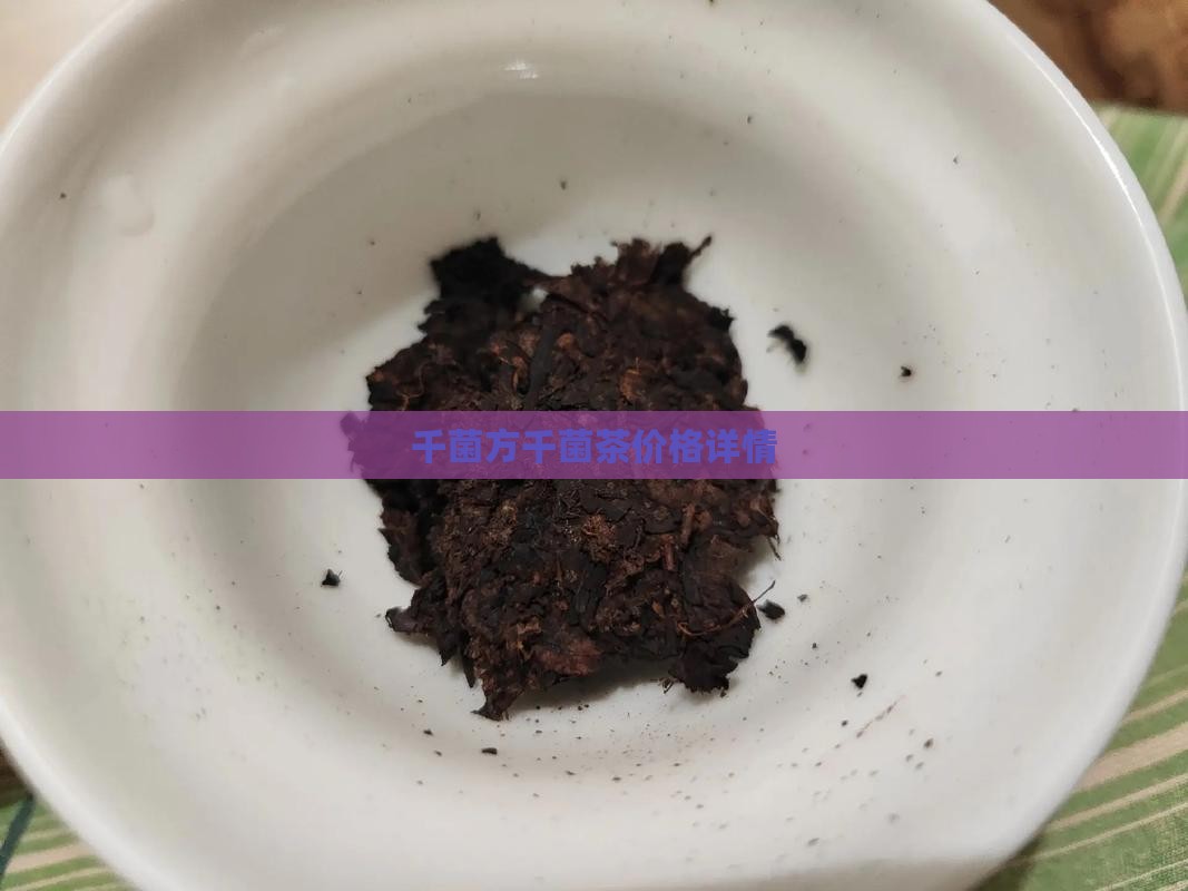 千菌方千菌茶价格详情