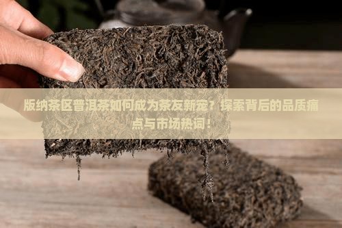 版纳茶区普洱茶如何成为茶友新宠？探索背后的品质痛点与市场热词！