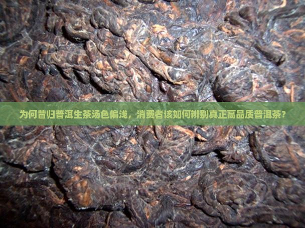 为何昔归普洱生茶汤色偏浅，消费者该如何辨别真正高品质普洱茶？