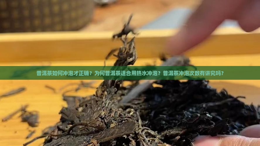 普洱茶如何冲泡才正确？为何普洱茶适合用热水冲泡？普洱茶冲泡次数有讲究吗？