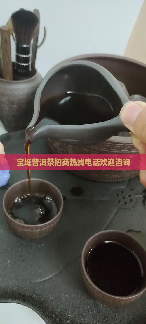 宝坻普洱茶招商热线电话欢迎咨询