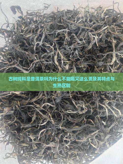 古树纯料是普洱茶吗为什么不能喝又这么贵及其特点与生熟区别