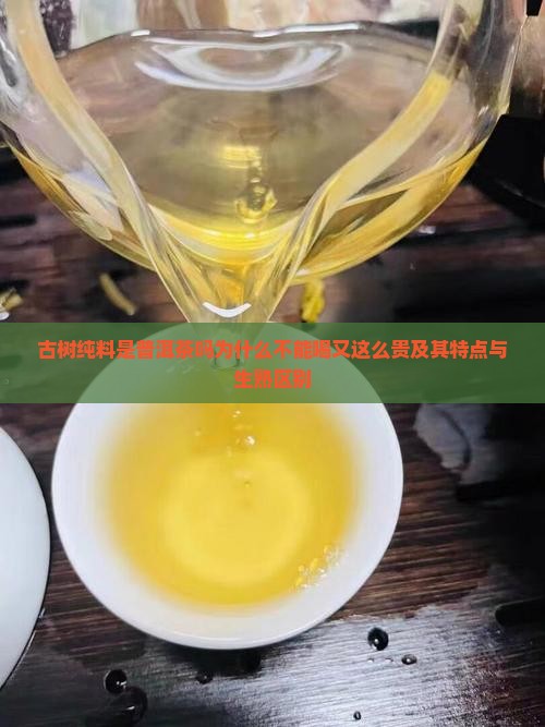 古树纯料是普洱茶吗为什么不能喝又这么贵及其特点与生熟区别