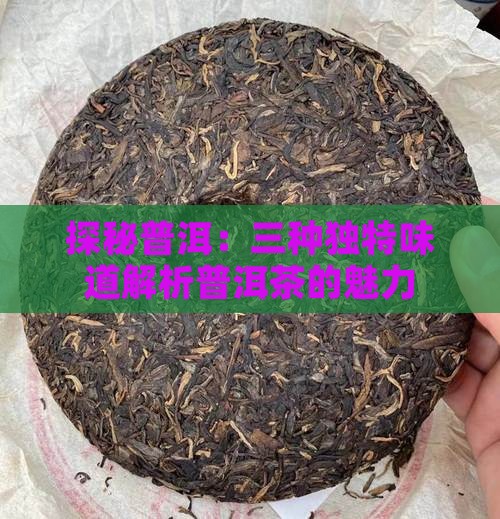 探秘普洱：三种独特味道解析普洱茶的魅力