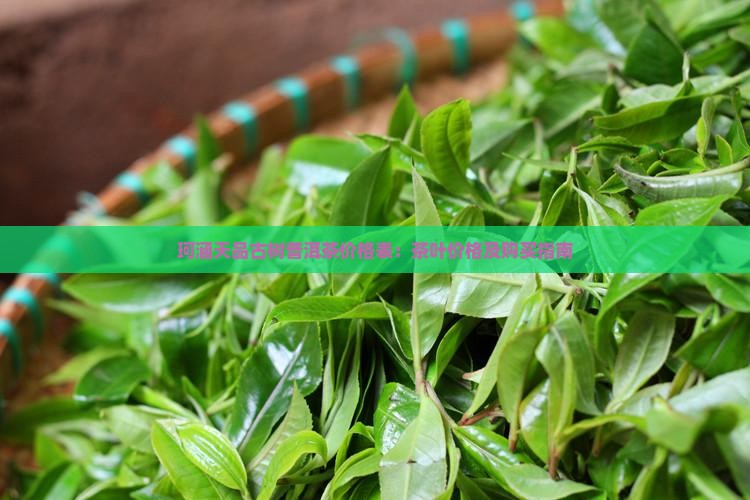 珂涵天品古树普洱茶价格表：茶叶价格及购买指南