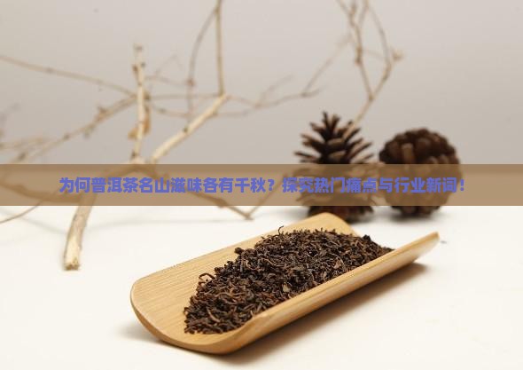 为何普洱茶名山滋味各有千秋？探究热门痛点与行业新词！
