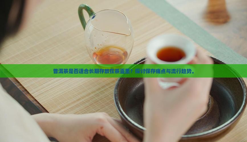 普洱茶是否适合长期存放在茶壶里？探讨保存痛点与流行趋势。