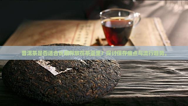普洱茶是否适合长期存放在茶壶里？探讨保存痛点与流行趋势。