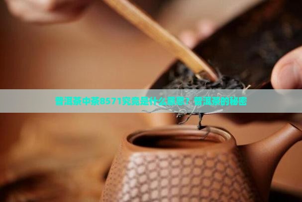 普洱茶中茶8571究竟是什么意思？普洱茶的秘密
