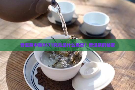 普洱茶中茶8571究竟是什么意思？普洱茶的秘密