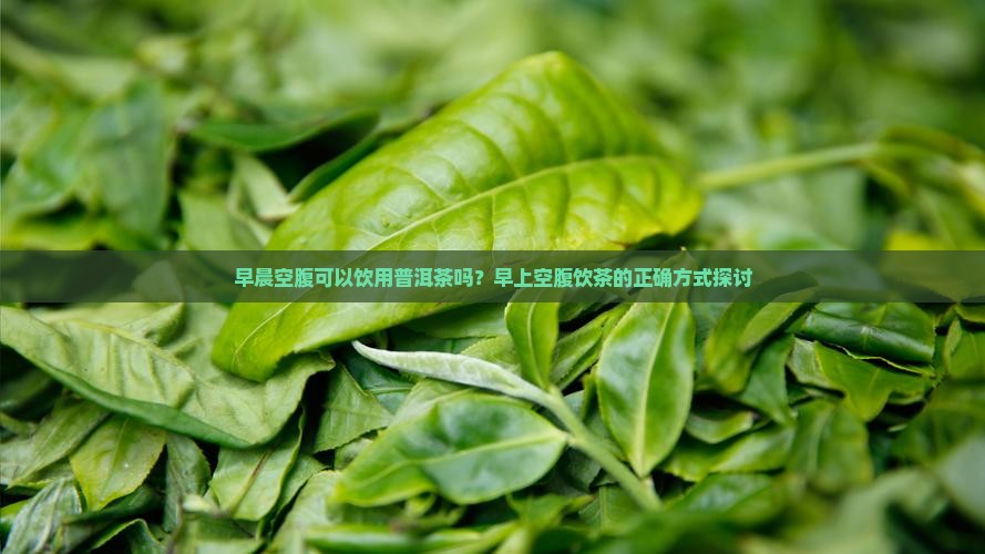 早晨空腹可以饮用普洱茶吗？早上空腹饮茶的正确方式探讨