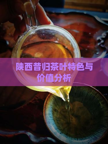 陕西昔归茶叶特色与价值分析