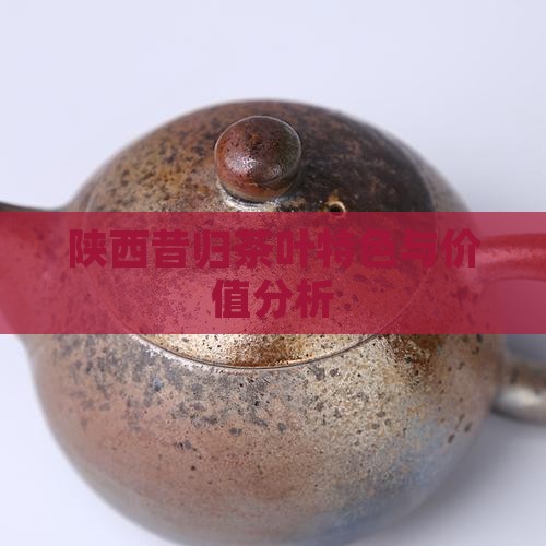 陕西昔归茶叶特色与价值分析