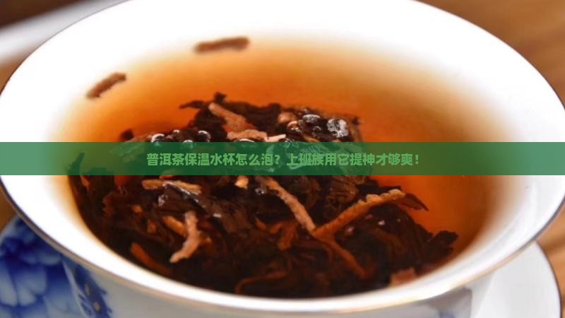 普洱茶保温水杯怎么泡？上班族用它提神才够爽！