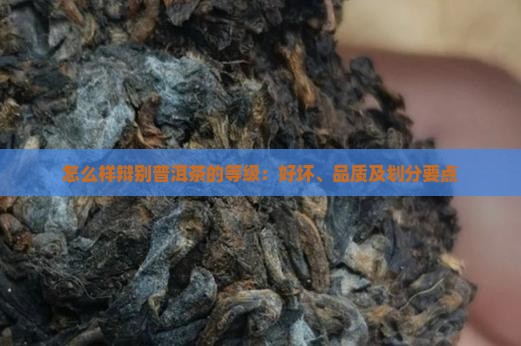 怎么样辩别普洱茶的等级：好坏、品质及划分要点
