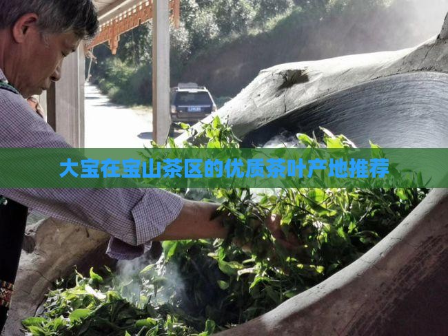 大宝在宝山茶区的优质茶叶产地推荐