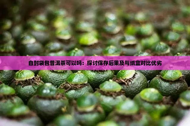 自封袋包普洱茶可以吗：探讨保存后果及与纸盒对比优劣