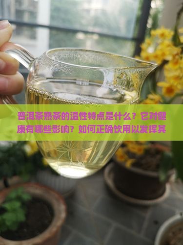 普洱茶熟茶的温性特点是什么？它对健康有哪些影响？如何正确饮用以发挥其温性功效？