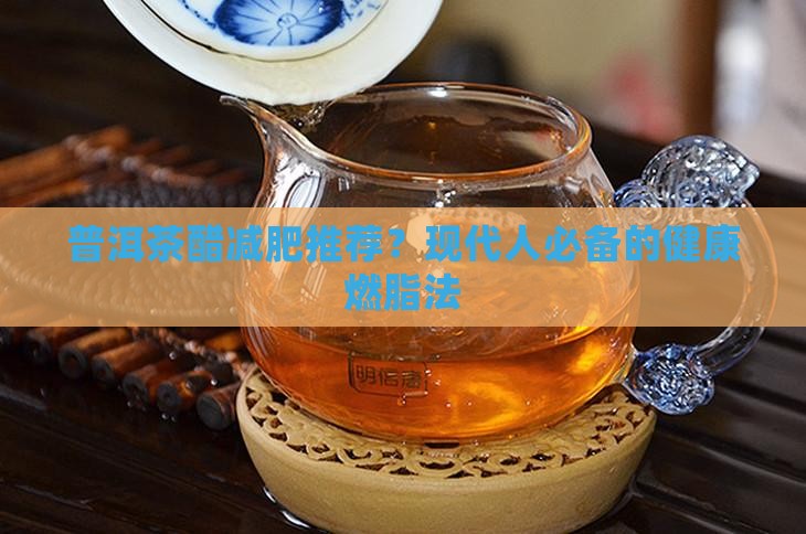 普洱茶醋减肥推荐？现代人必备的健康燃脂法