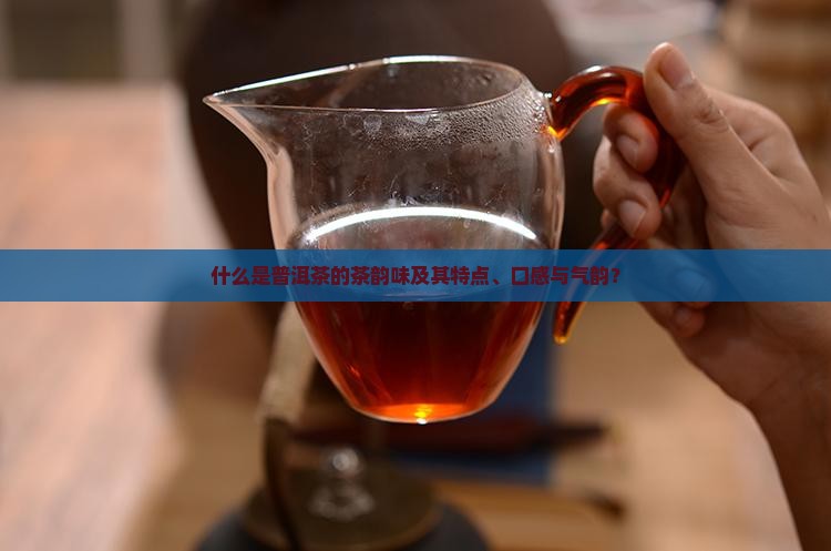 什么是普洱茶的茶韵味及其特点、口感与气韵？